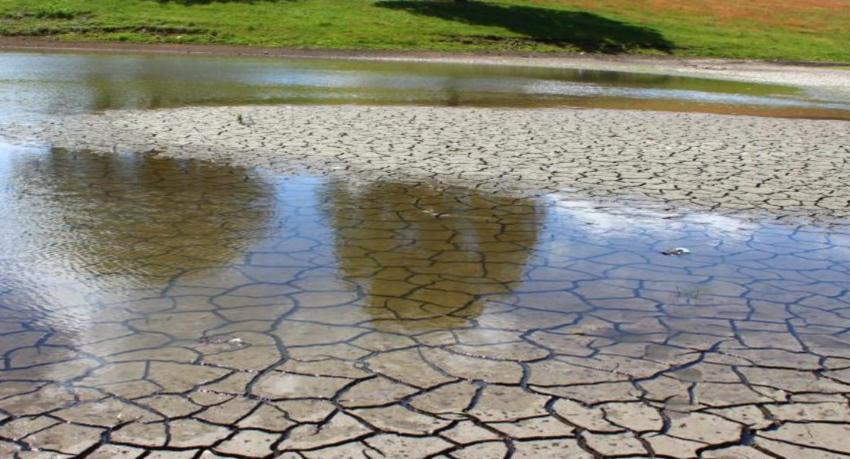 15 districts battered by arid weather conditions